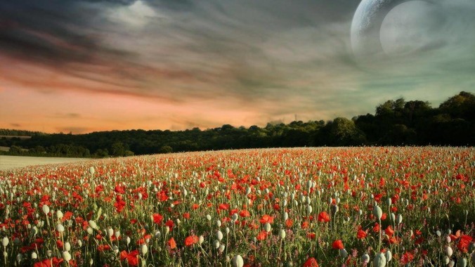 作为一个腰细腿粗的女生什么感觉？